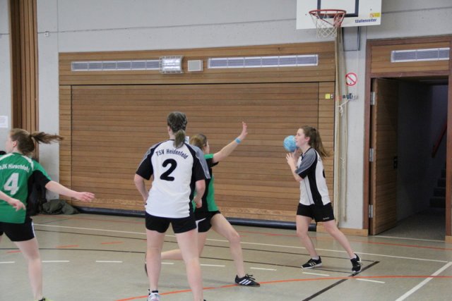 2017_02_19 Landesliga Frauen und Jugend 19
